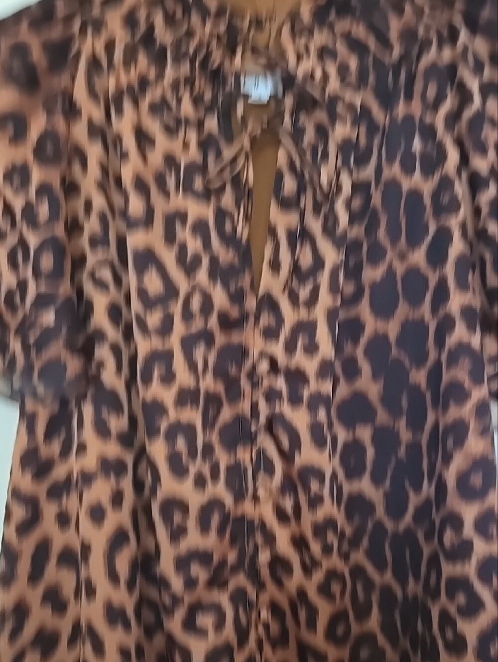 THML Leopard-Print Double Tie-Neck Blouse With Ruffle Sleeves - Picture 5 of 11